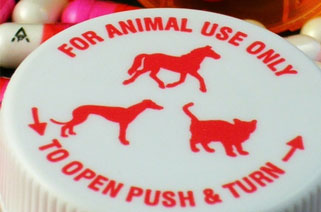 Home | Animal Clinic of Oxford Home | Animal Clinic of Oxford