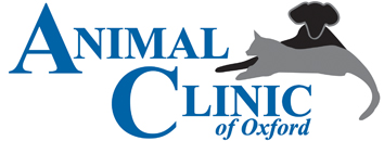 Home | Animal Clinic of Oxford